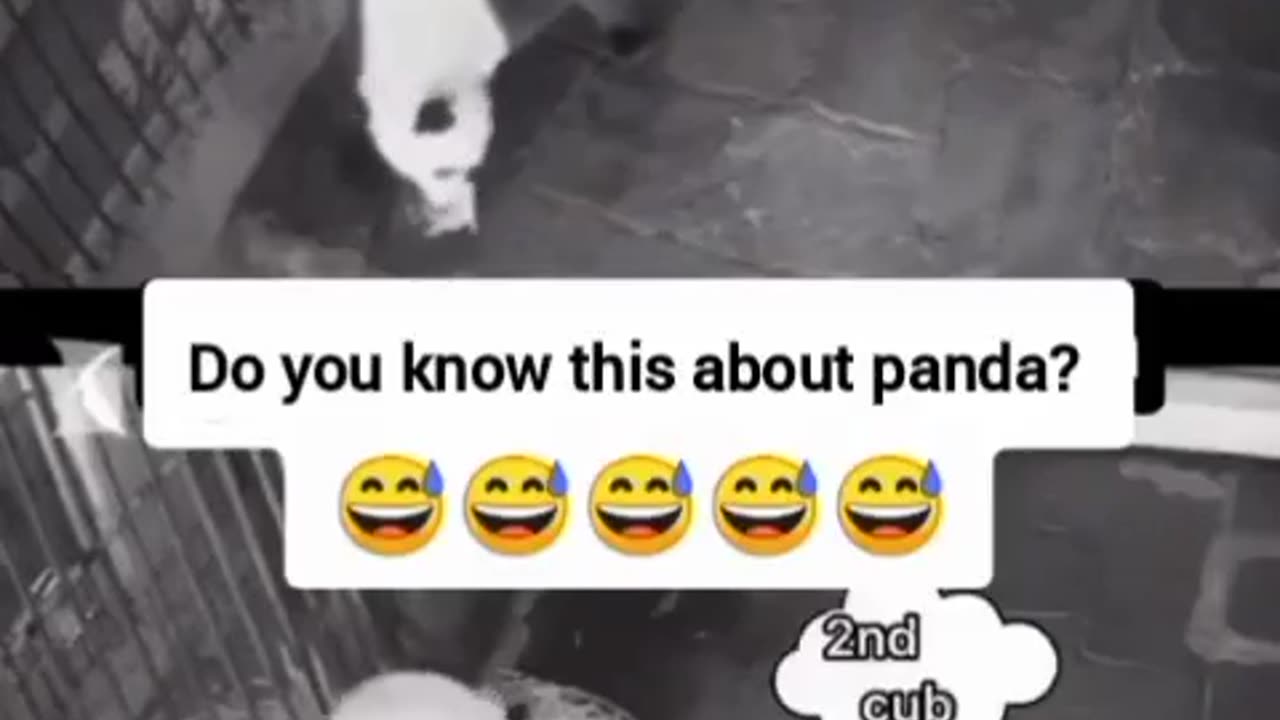 Funny video