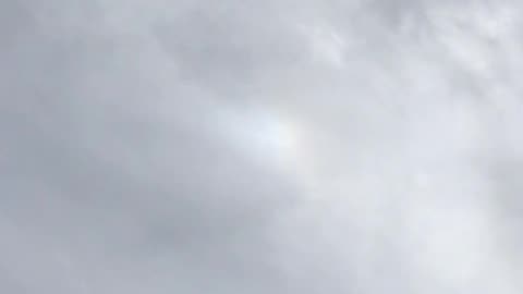 I don’t know what this is. Rainbow colors were shining around it.