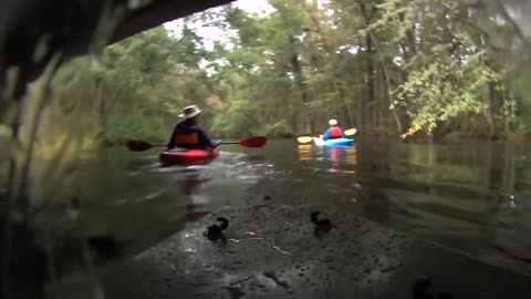 Lumber River Run in the pouring rain :)