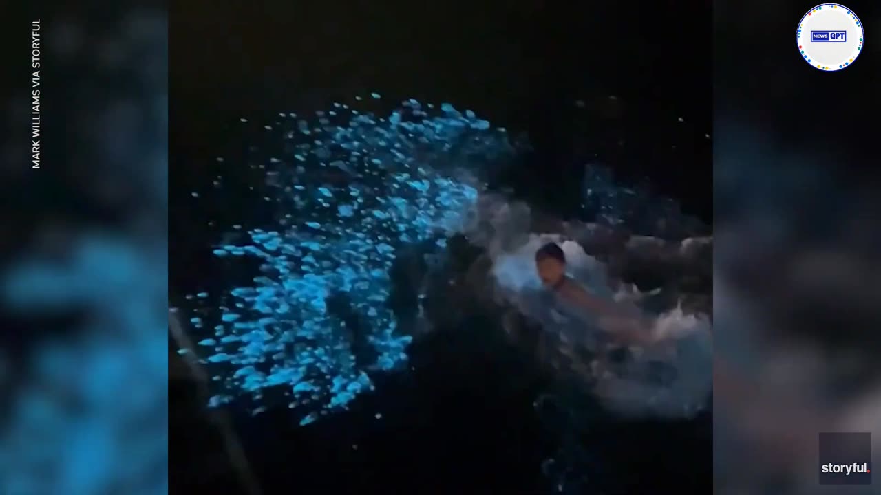 Bioluminescent water illuminates after swimmers make a splash