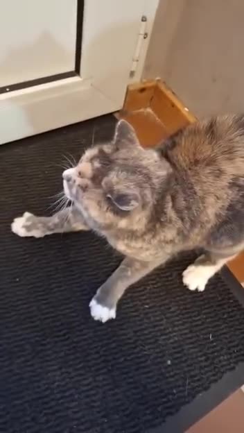 That would scare the heck out of me too 😂😡