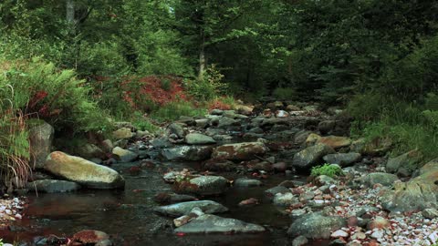 Purl water with a wonderful view soothes the soul