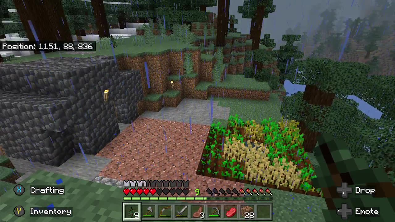 Chill minecraft | Chatting