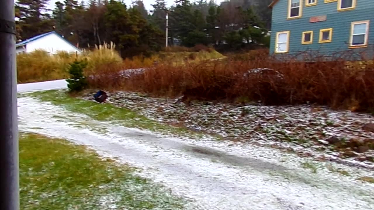 Snow today in Port Orford 2/22/23: