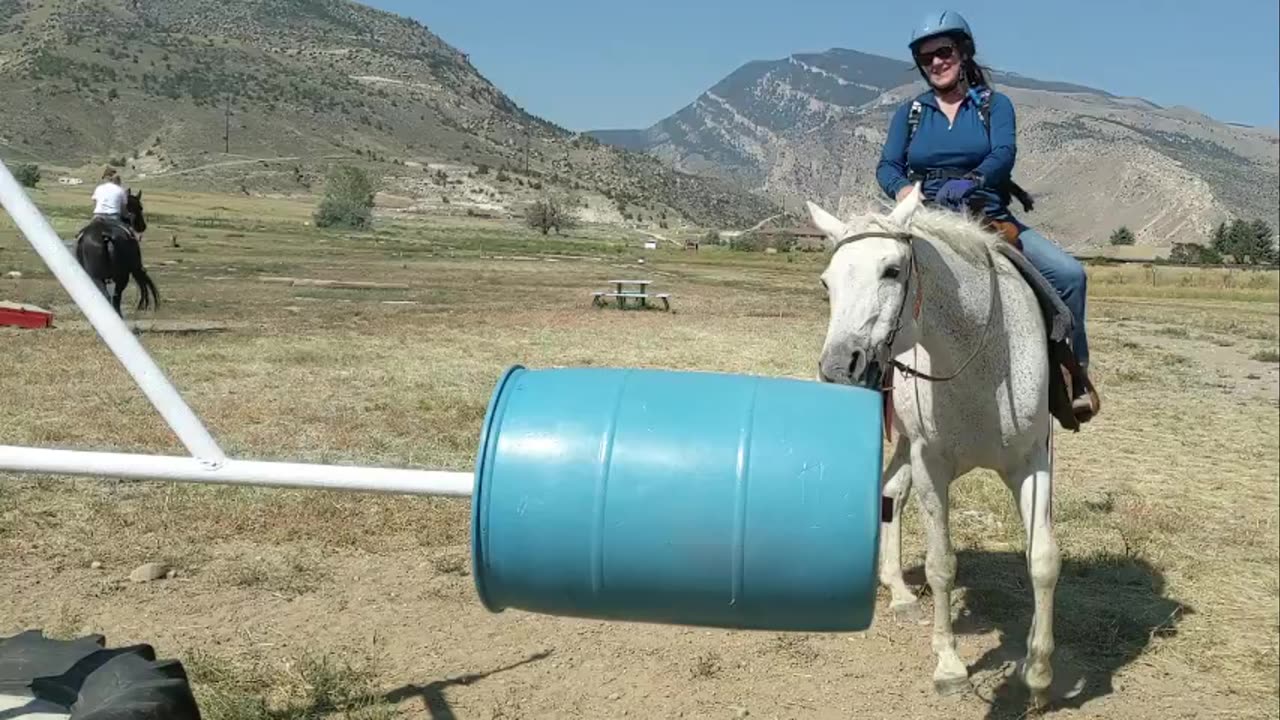 Wrangling & Cody Obstacle Course - Fern & Cindy