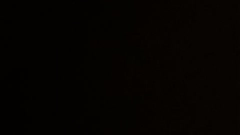 Midterm election 2022