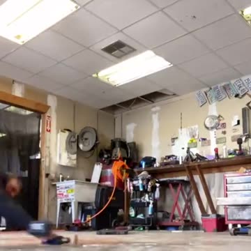 News Break: Freebird