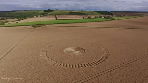 Crop Circle - Wexcombe, Wiltshire, England - 28 July 2023