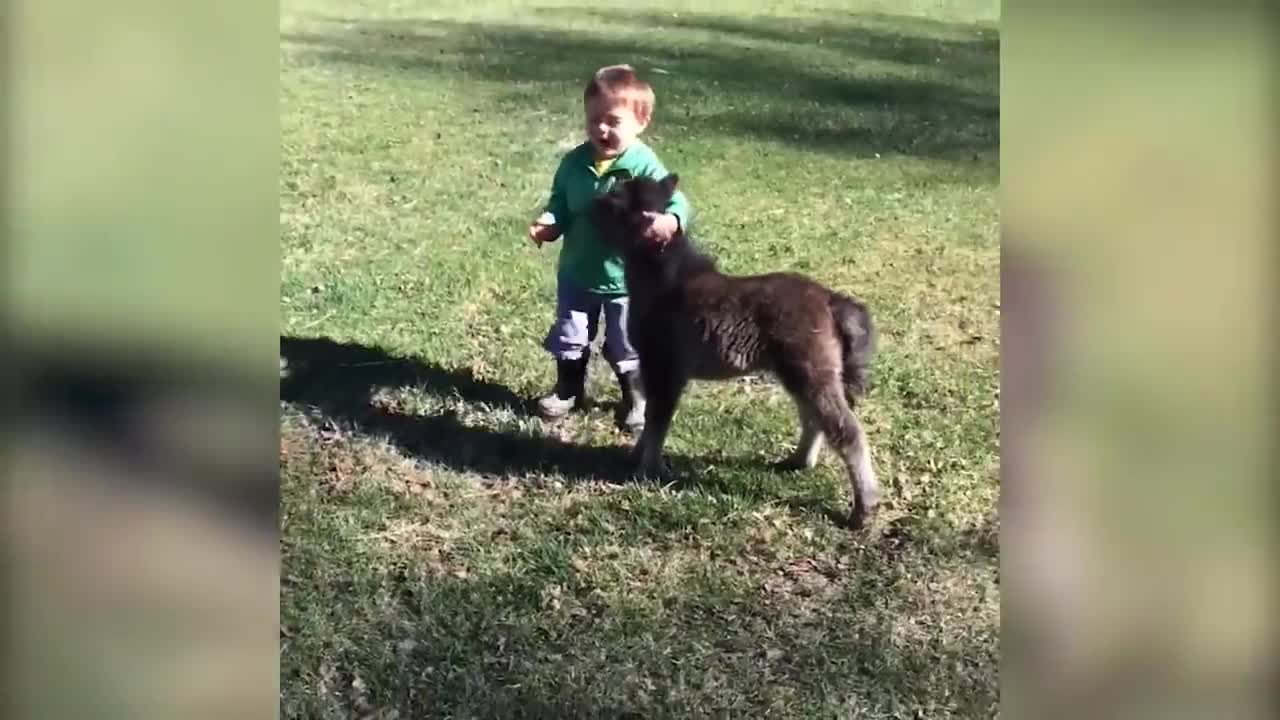 What is this animal that I want, too