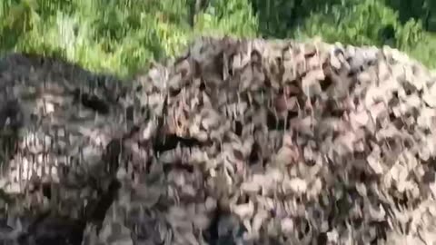 Intense Footage from Ukrainian Artillery Group