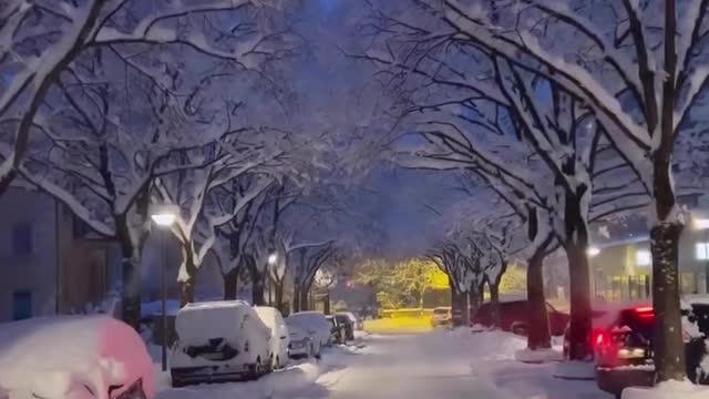 Beautiful view of snow on Christmas