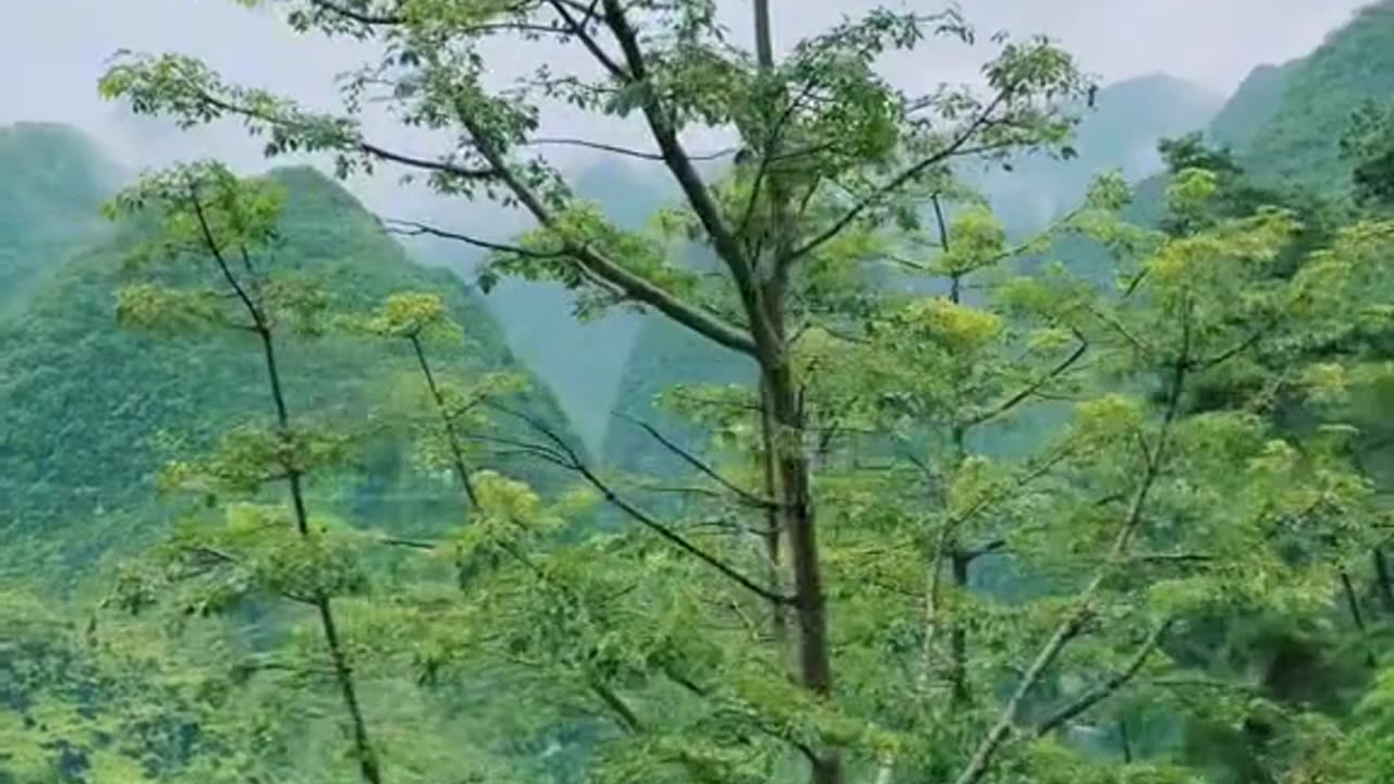 Nature relaxation video