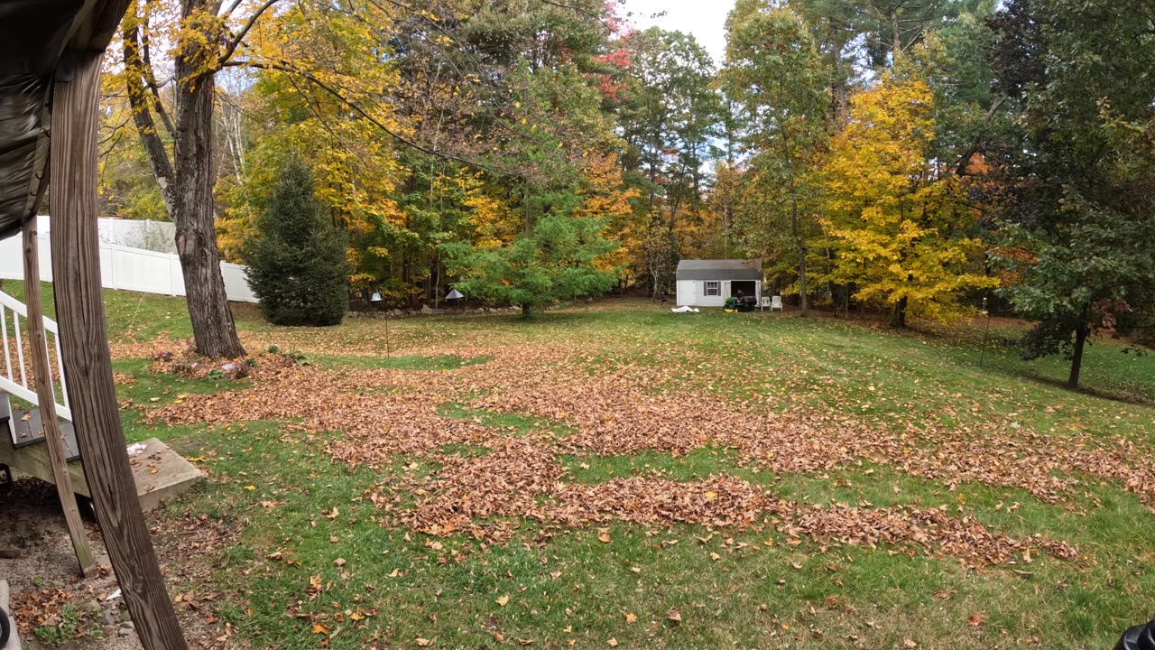 Mowing lawn and picking up leaves in tera king bag