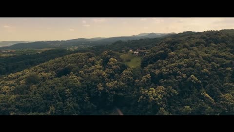 FOREST | Nature | Drone | Relaxation