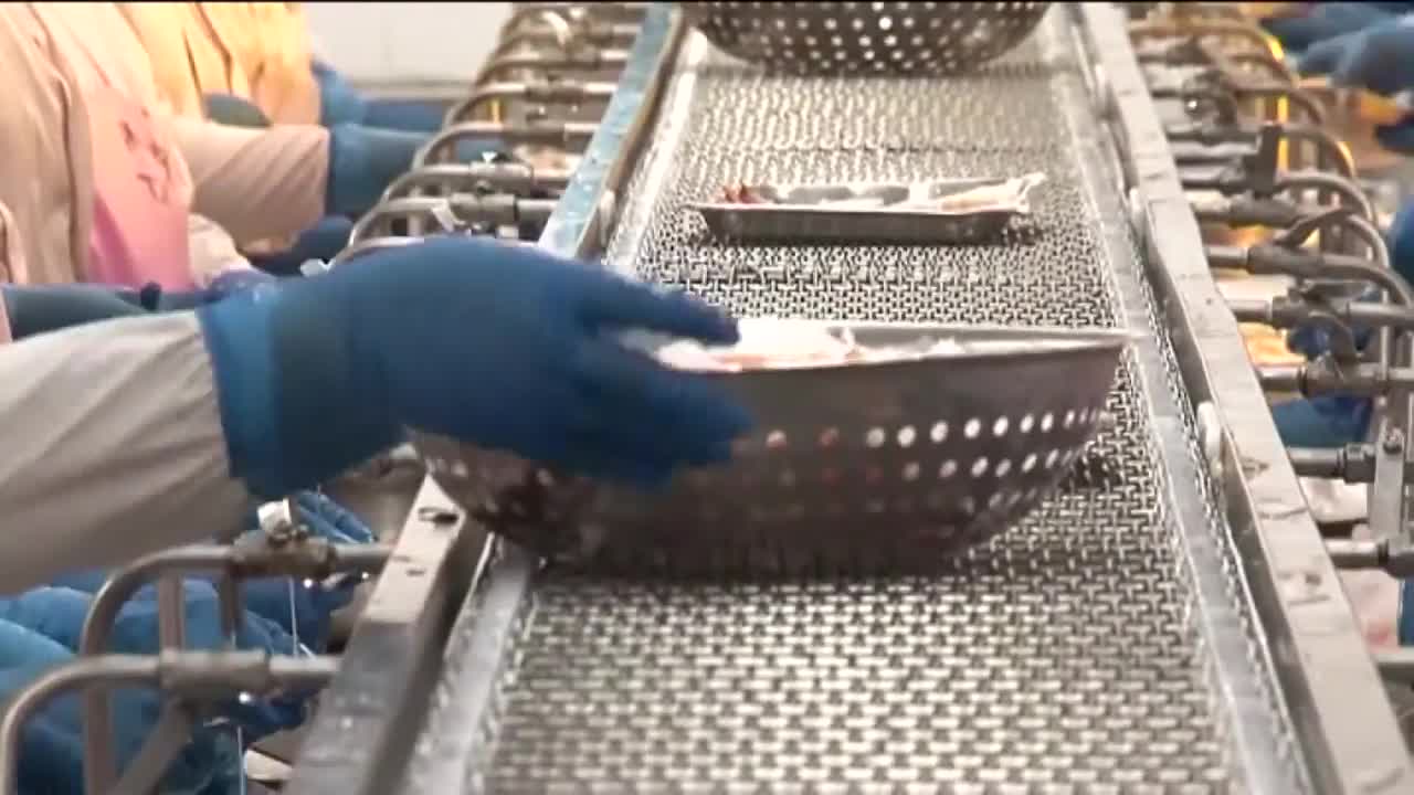 Les exportations de crevettes augmentent malgré la crise sanitaire