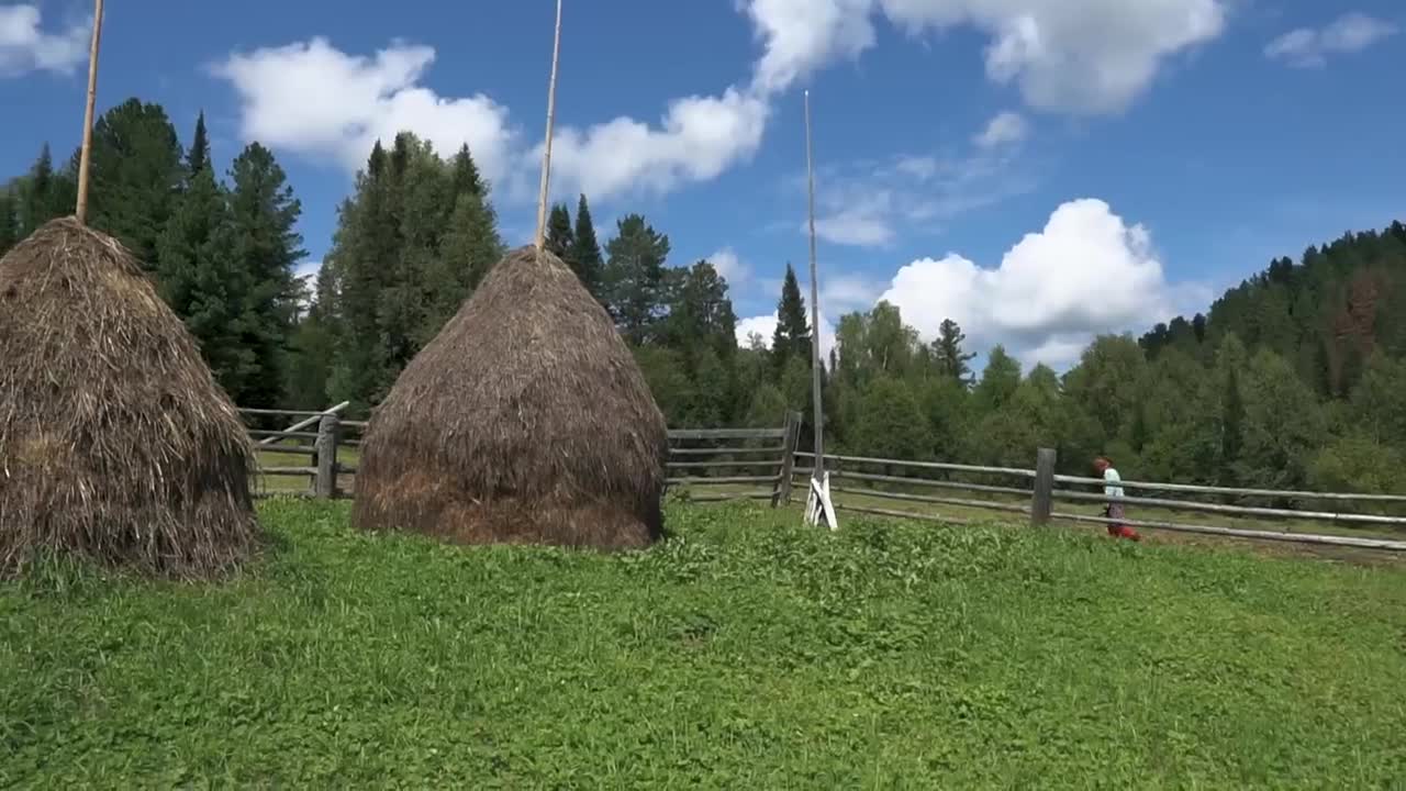 Live Alone in the Middle Wild Forest Taiga Far From Civilization In Russia