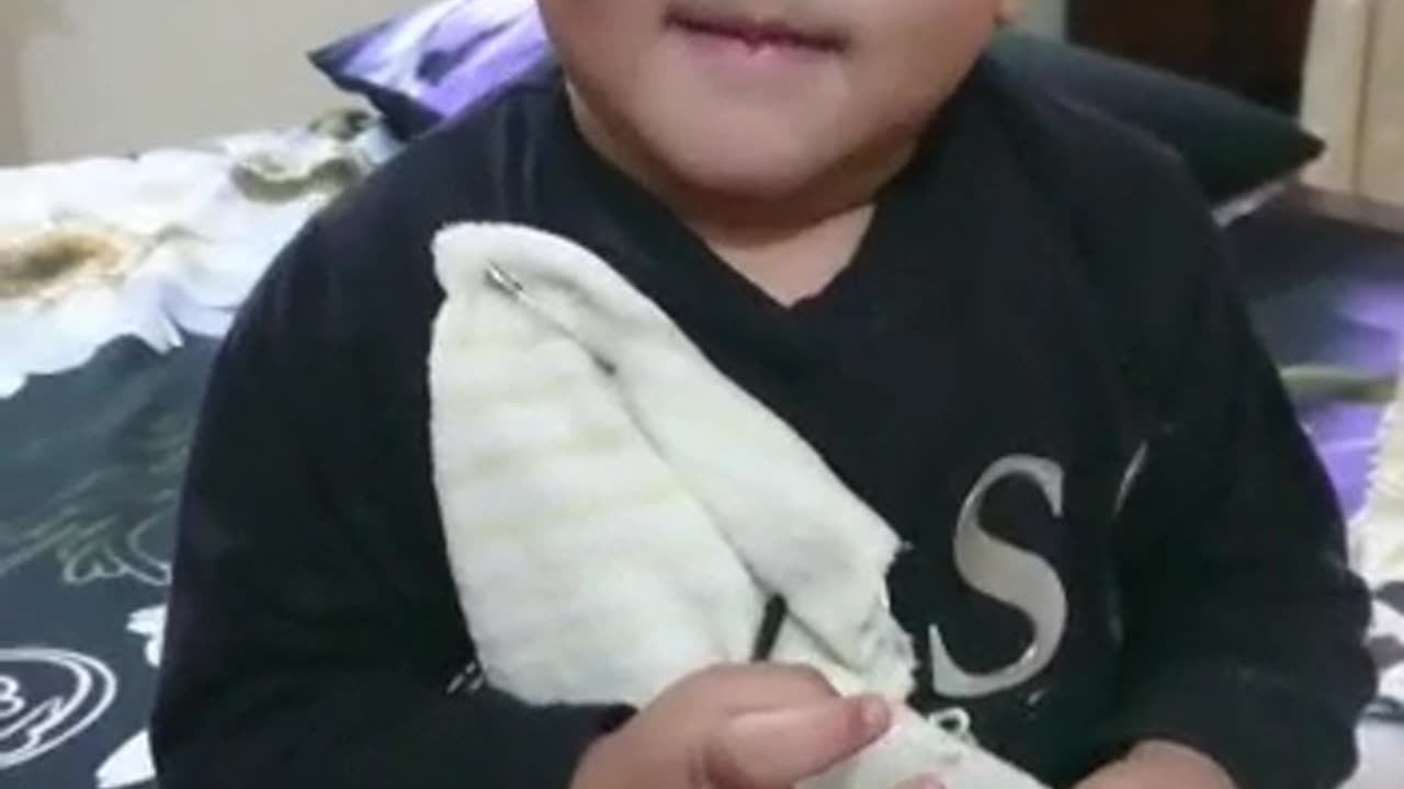 Wahaj Arslan