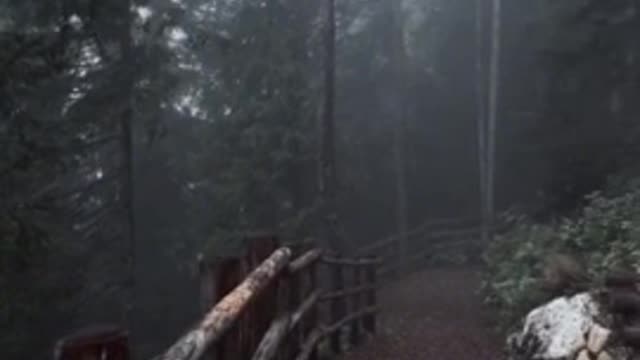I really like this mysterious and quiet atmosphere