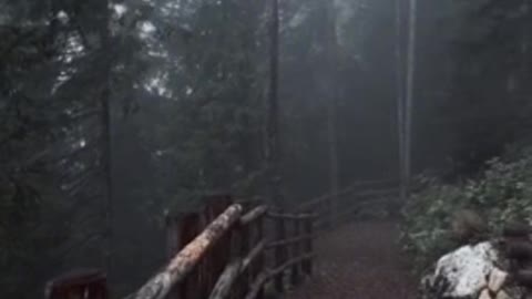 I really like this mysterious and quiet atmosphere