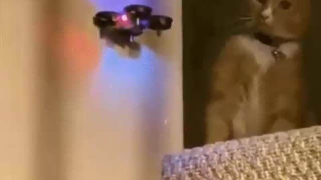 GET THAT DRONE OUTTA MY FACE!!