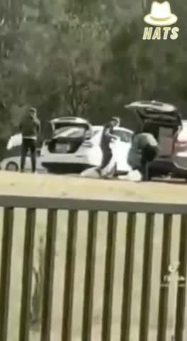 What should happen to PPE after public testing?