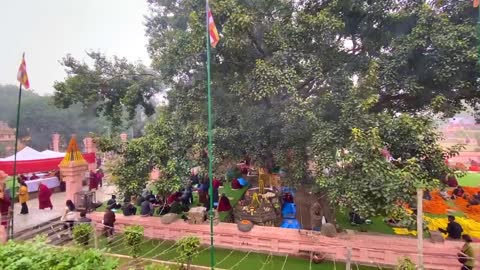 Maha Bodhi Temple - Bodhgaya, Bihar 2020.