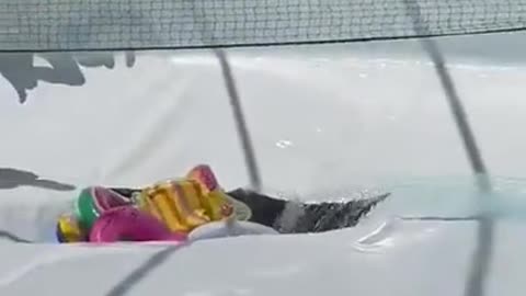 Sinkhole Opens At Israeli Pool Party