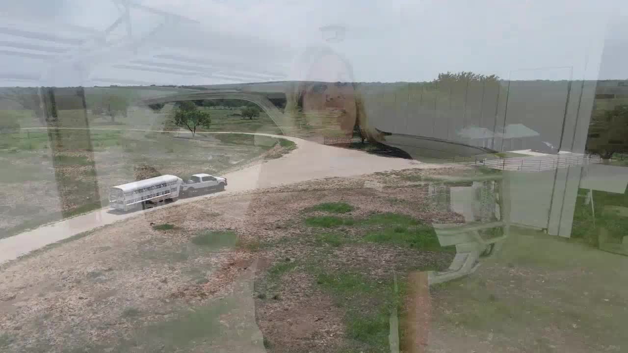 The Silent Invasion