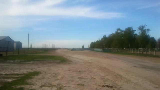 Mares returns from the paddock to the stables