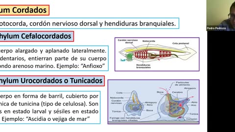 ADC SEMESTRAL 2022 Semana 14 BIOLOGIA