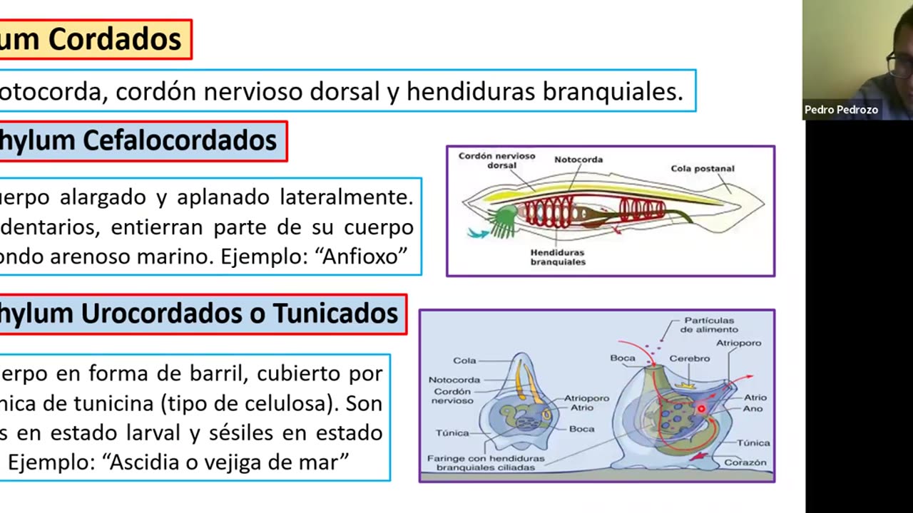 ADC SEMESTRAL 2022 Semana 14 BIOLOGIA