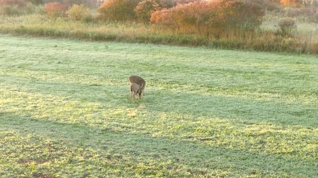 S1.E4 Fourth Arrow TV 2017 Opening Day