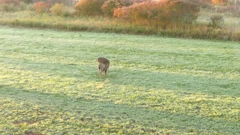 S1.E4 Fourth Arrow TV 2017 Opening Day