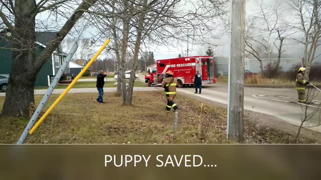 DEER LAKE NEWFOUNDLAND CANADA FIRE RESCUE