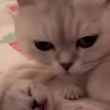 Baby and Mom