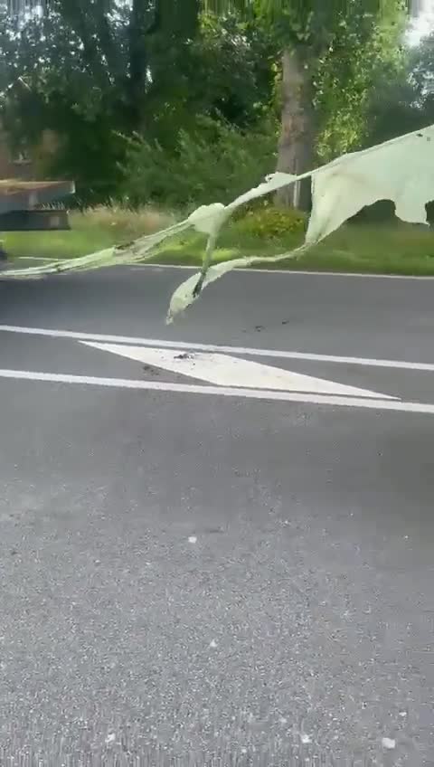Dutch Nitrogen War: Dutch farmers dump manure on roads, blockade border (July 4, 2022).