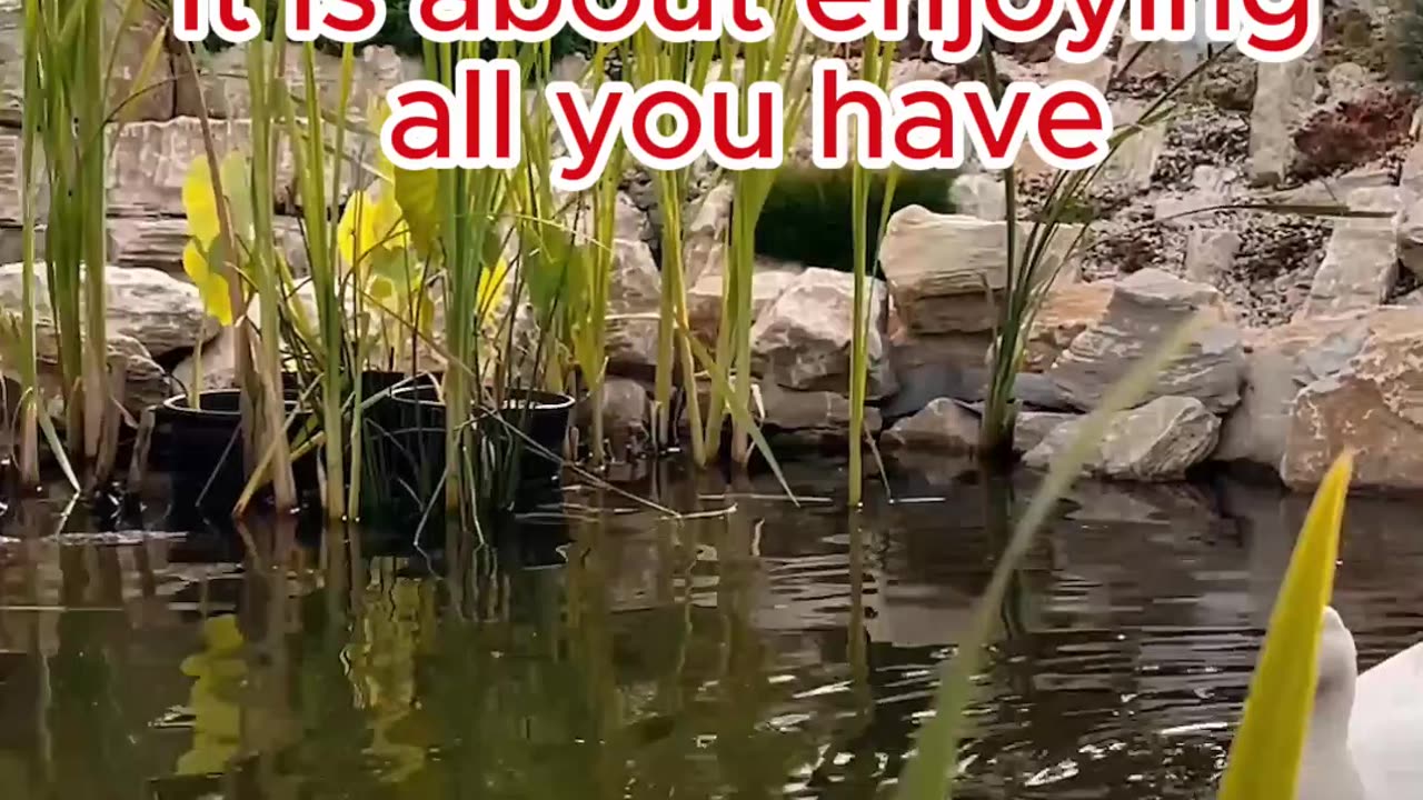 EnjoY WiTh All yOu HaVe