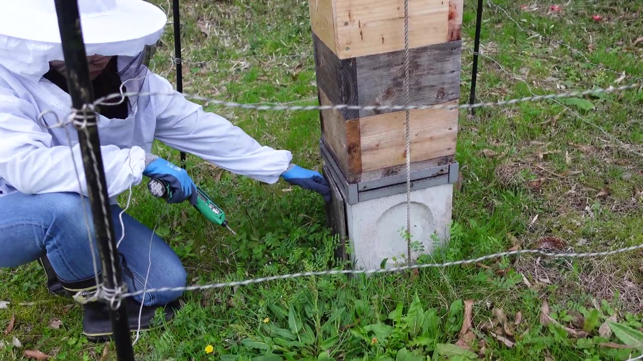 Setting up Bait Hives for Swarms