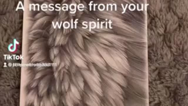 Message from your wolf spirit