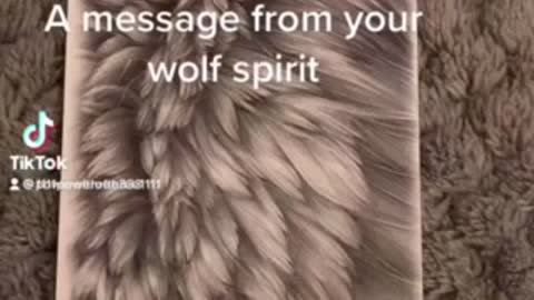 Message from your wolf spirit