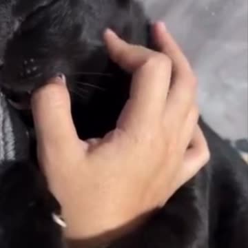 The ups and downs of energy drinks 😂