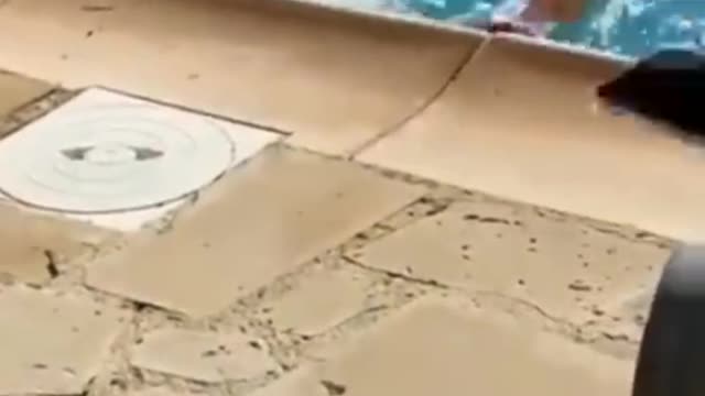 how to get funny videošš¤£ part 4