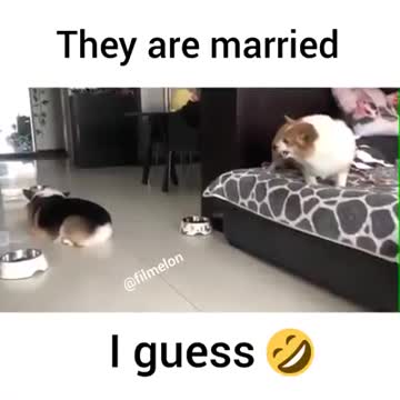 They are marriage of the year