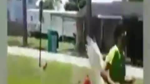 Funny super cute animals getting people running ☺️