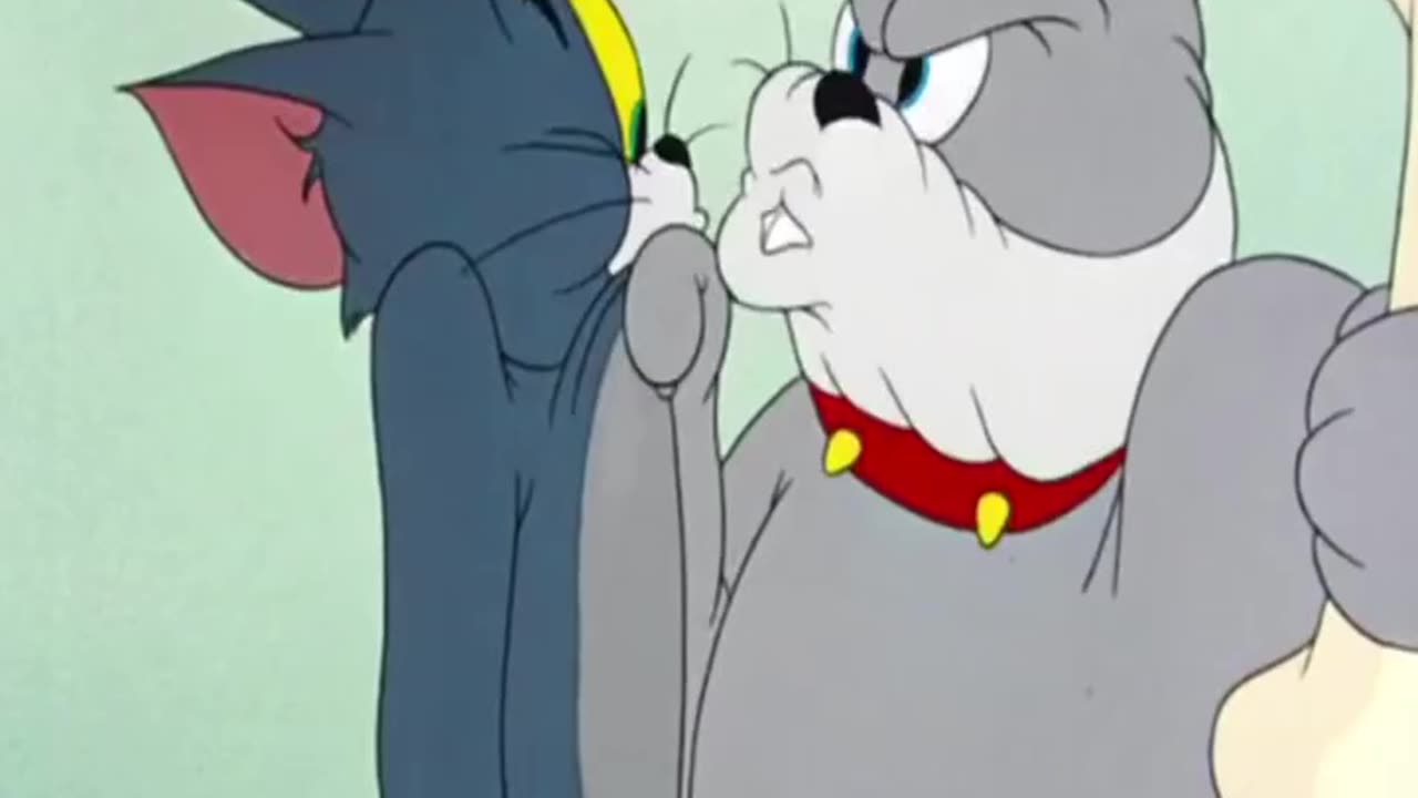 tom and jerry