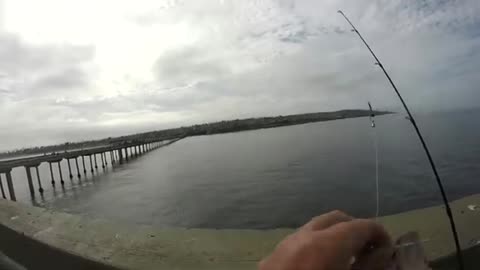 Ocean Beach pier fishing! Sand Bass Fishing 4!