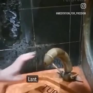 WELCOME TO ITALY 🇮🇹 RUB FOR WATER LADIES 🚺 😆 🤣 😂