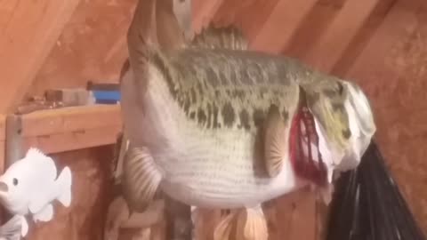 How to Paint a Largemouth Bass