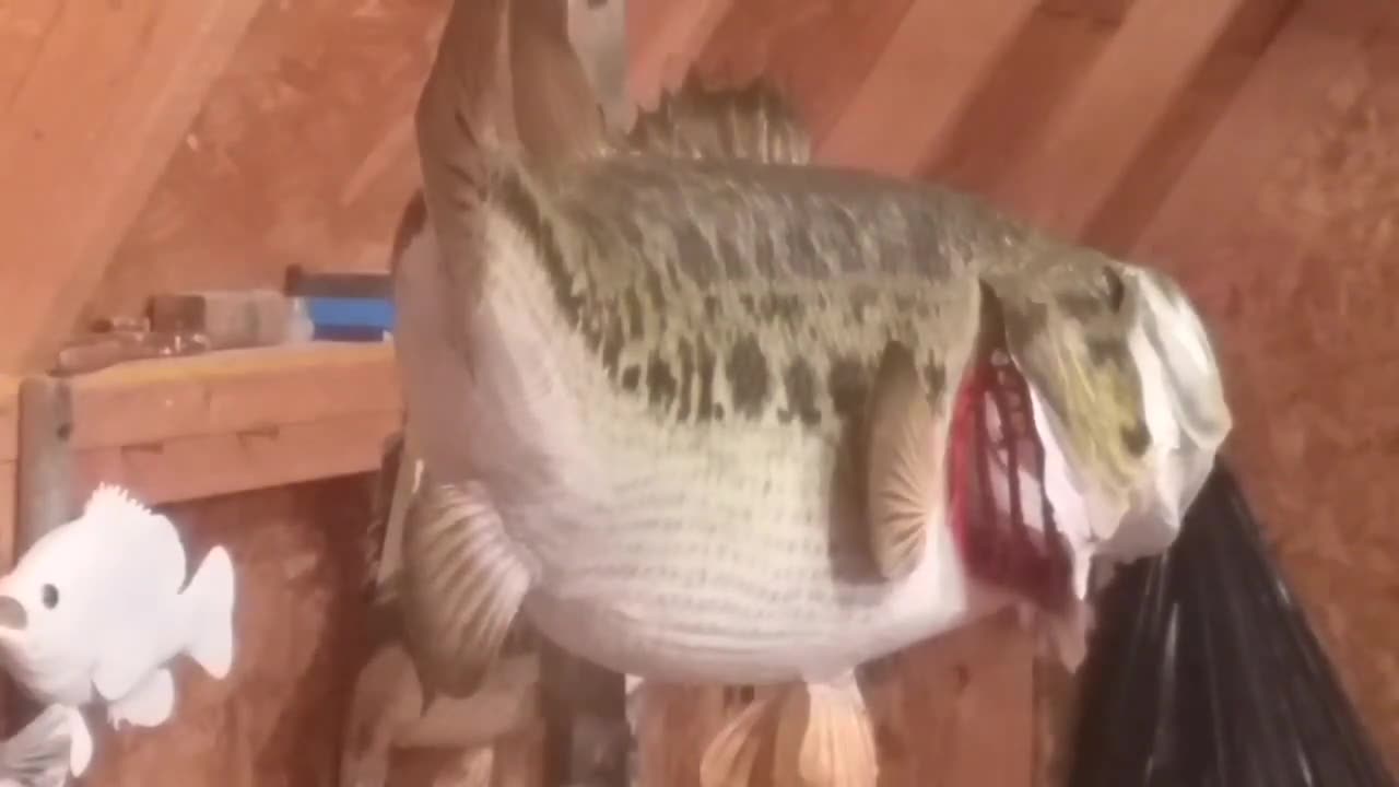 How to Paint a Largemouth Bass