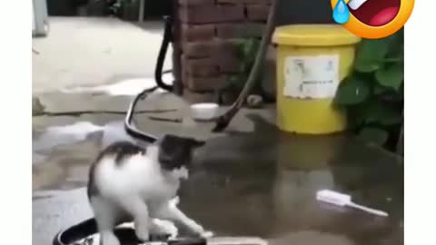 Funny Videos 2022 😂 - #141